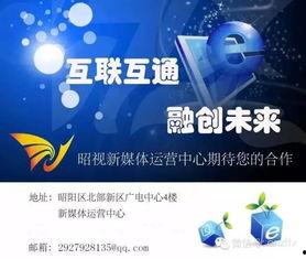 四川今日关注爆料新闻视频,揭秘最新爆料新闻视频背后的真相  第3张